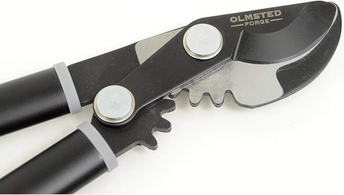 Geared Bypass Lopper