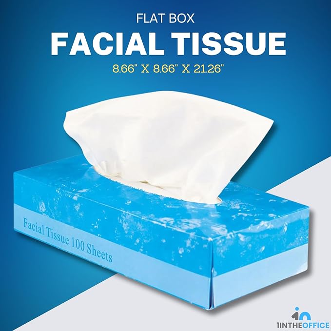 1InTheOffice Facial Tissue Paper, White Tissue, Flat Box with 100 Sheets, Soft 2-Ply, 6 Pack