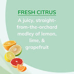 Citrus Magic Solid Air Freshener