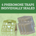 Triple-Strength Pantry Moth Traps 6 Pack – Safe Pheromone Moth Traps for House & Kitchen – Non-Toxic Pantry Pest Solution for Indian Meal Moths