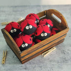 Friendsheep Wool Dryer Balls, Organic Reusable Fabric Softener Alternative for Laundry, Handmade, Fair Trade, Hypoallergenic, Eco-Friendly, Plastic-Free (6 Pack XL – Ladybugs)