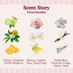 Glory Days In-Wash Scent Booster & Fabric Smell Deodorizer – Citrus Socialite (Bright Citrus Blend) | Chic Laundry Beads for Long-Lasting Fragrance | Plant-Conscious, Plastic-Free, 21 Washes