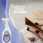 Restore Naturals Enzaway Carpet Spot Cleaner - 22oz - Pet Stain Remover Spray for Carpet - Gentle, Non-Toxic Stain Remover | Cruelty-Free | Made in USA - 2 Pack