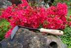 DeWit Tierra Garden Right Hand Japanese Hand Hoe, Handheld Gardening Tool to Remove Grass, Weeds, and More