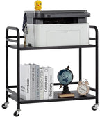 HDANI 2 Tier Under Desk Printer Stand with Storage,Microwave Storage Rack,Metal Rolling Printer Cart with Wheels for Home Office,Utility Storage Cart and Stand,Black