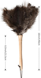 Ostrich Duster Fluffy Natural Feather Dusters with Wooden Handle Cleaning Supplies for Home Office Car (2, 16inch)