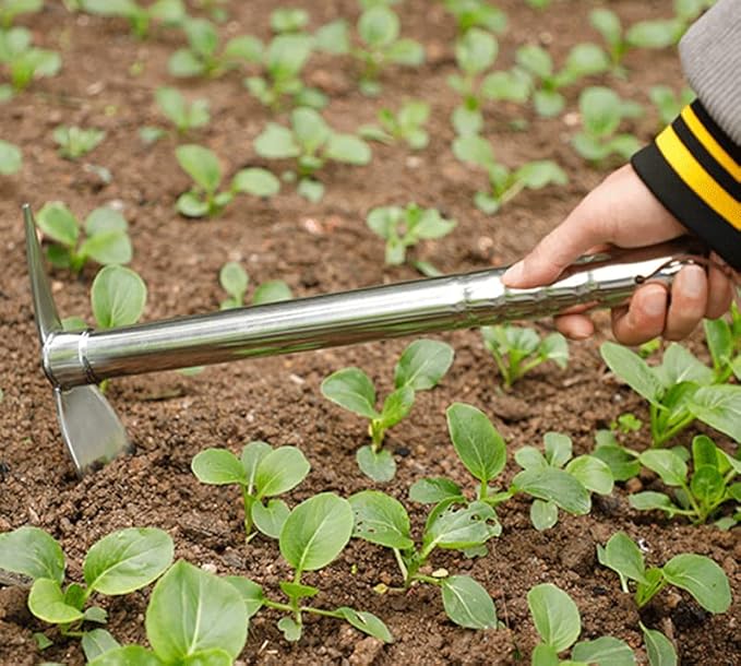 Gardening Hoe, 2 in 1 Shovel and Pickaxe, Digging Hoe Garden Tools Heavy Duty Stainless Steel Vegetable Flower Planting Digging Gadget (Shovel and Pickaxe)