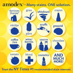 Amodex Ink & Stain Remover for Clothes, Leather and Skin - Removes Ink, Ballpoint, Sharpie, Grease and More, Works on Set-in Stains, Gentle but Powerful, 4oz/120ml Bottle (Pack of 2)