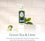 Puracy Multi-Surface Cleaner Spray - Plant-Powered All Purpose Cleaner - Surface Cleaner Solution As Seen on TikTok (Green Tea & Lime, 16 fl oz, 1 Pack)