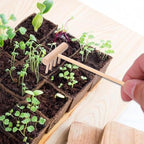 YARNOW 20 Pcs Bamboo Zen Garden Rakes Mini Tabletop Sandbox Tools for Home Decoration, 5.5 x 1.4 x 1.6 Inch