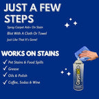 Professional Carpet Spot & Stain Remover – Removes Pet Stains, Coffee, Grease, Ink, & More – pH-Balanced Formula – 14 oz Can (3)