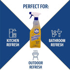 Bar Keepers Friend MORE Spray + Foam Multipurpose Cleaner (2 x 25.4 oz) & Dish Fish Dual Sponge for Bathroom, Kitchen & Outdoor Use on Stainless Steel, Aluminum, Brass, Tile, Ceramic, Porcelain & More
