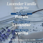CANDE Mop Soap - Highly Scented Mop Soap, Luxury Floor Cleaner, Premium Fragranced Floor, Streak-Free Shine, 32 oz (Lavender Vanilla)
