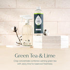 Puracy Multi-Surface Cleaner Concentrate - Plant-Powered All Purpose Cleaner - Surface Cleaner Solution As Seen on TikTok (Green Tea + Lime, 16 fl oz, 1 Pack)