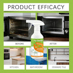 FlyCleanse Spray, FlyCleanse Kitchen Cleaner, Electrolyzed Ion Kitchen Cleaner Spray, Natural Enzyme Formula Liquid Cleaner for Household Appliances & Easy Cleaning Solution (2pcs, 300ml)