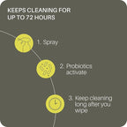 Everneat Concentrated Surface Cleaner - Lift | Lemongrass, Rosemary & Lemon | Plant-Based, Multi-Surface | 1 oz Concentrate + Just Add Water