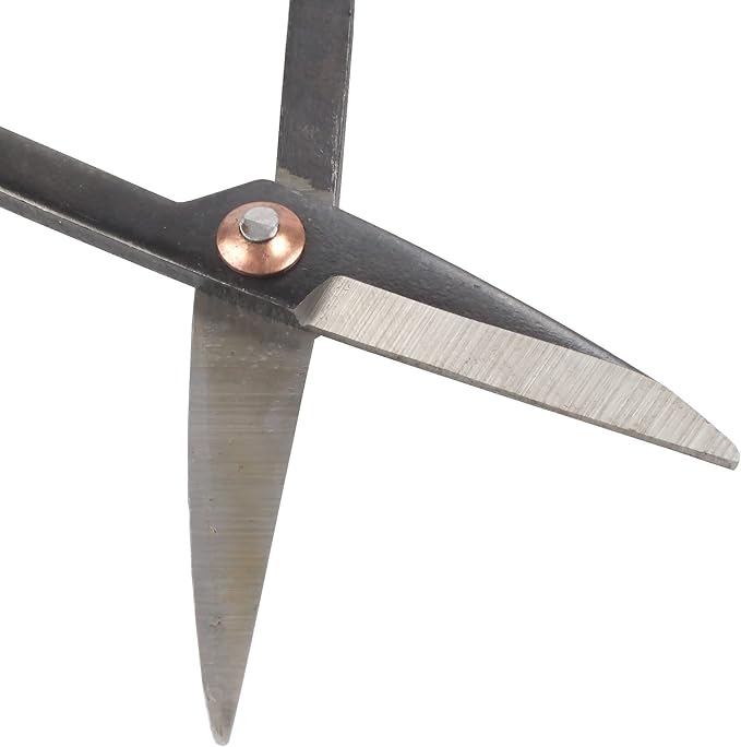 BambooMN 7.2" Black Bonsai Trimming Shear - 10 Pieces