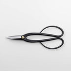 Wazakura Bonsai Pruning Scissors Tool Set - Japanese Trimming Shears Starter Kit - Ashinaga Bonsai Scissors & Satsuki Trimming Scissors