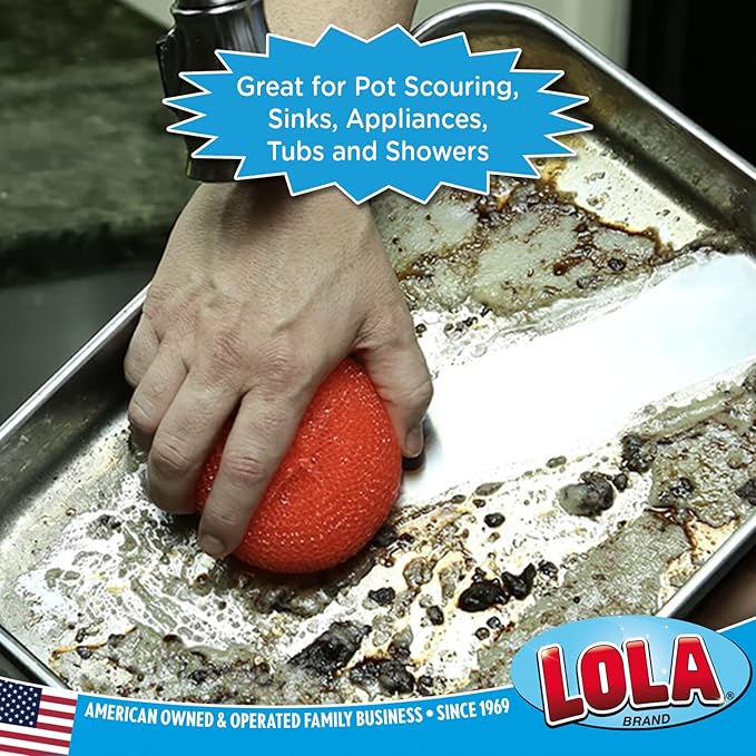 LOLA Plastic Mesh Scouring Pads - 3 Pack, 3.375" x 1.25", Non-Scratch Dish Scrubbers to Clean Dishes, Assorted Colors - Red, Blue & Yellow