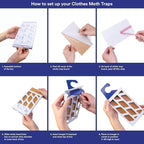 Powerful Moth Traps for Clothes & Closets | Refillable 3-Pack | Odor-Free & Natural | Moth Pheromone Traps for House & Clothing