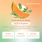 Therapy Clean Dish Soap - Fresh Herbs and Melon - 16 fl oz (Pack of 3), Biodegradable Natural Dishwashing Liquid, Liquid DIsh Soap