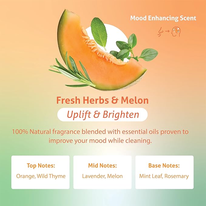 Therapy Clean Dish Soap Fresh Herb & Melon (6-Pack), Dishwashing Liquid, Dishwasher Soap, Natural Dish Soap Refill, Dishsoap, Dish Washing Liquids, Bottle Soap