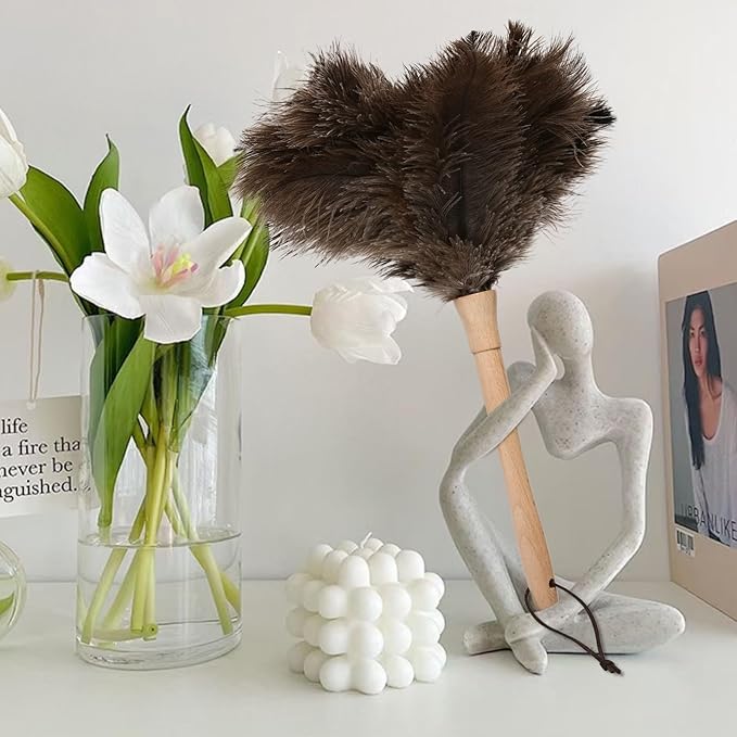 Ostrich Duster Fluffy Natural Feather Dusters with Wooden Handle Cleaning Supplies for Home Office Car (1, 16inch)