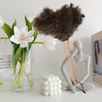 Ostrich Duster Fluffy Natural Feather Dusters with Wooden Handle Cleaning Supplies for Home Office Car (2, 16inch)