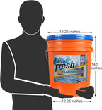 Ultra Fresh 6X Platinum 5 Gallon Laundry Detergent Liquid for All Machine Types with Easy Dispensing Pump, Up to 640 Loads, Original Blue (5 Pack)