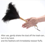 Feather Duster, Ostrich Feather Duster Ddzmz Fluffy Natural Genuine Ostrich Feathers and Reusable Wooden Long Handle Large Ostrich Feather Duster Cleaning for Housewife Black Length 16" 1Pack