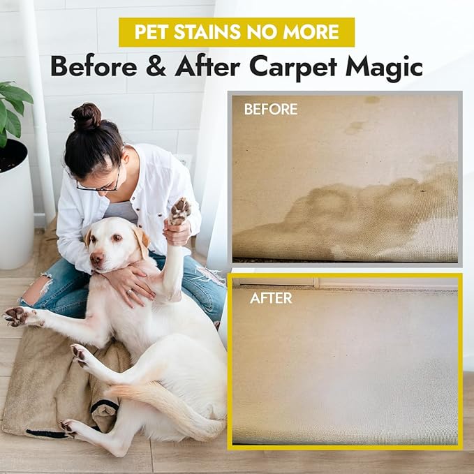 NORTHWEST ENTERPRISES Multi-Purpose Enzyme Cleaner - Household and Commercial Pets Cat Dog Urine and Poop - Enzymatic Cleaner, Fresh Lemon Scent (1 Gallon)