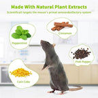 Mouse Rodent Repellent, Peppermint Oil to Repel Mice and Rats– Works for Mice Repellent, Squirrels & Pests, Outdoor and Indoor Use, Safe for Homes & Pets 24 Pack