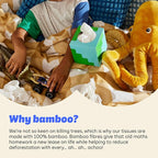 Who Gives a Crap Bamboo Tissues, Facial Tissue Cube Boxes, 100% Bamboo, 3 Ply, 12 Boxes, 65 Sheets per Box, Soft, Strong, and Sustainable, Eco Friendly With Plastic Free Packaging, 780 Total Tissues