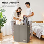 SOLEDI Large Double Laundry Hamper with Lid, Collapsible Clothes Hamper 2 section with Removable Bags, Space-Saving Laundry Basket for Bedroom, Dorm, College