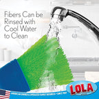 LOLA Whisk Broom, Hand Brush, 72 Pack, Durable Bristles, Whisks Away Dirt & Debris, Compact, Hang Hole for Easy Storage, Indoor/Outdoor