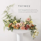 Thymes Countertop Spray - Counter Cleaner Spray - Household Cleaning Supplies (Fresh-Cut Basil, 16.5 fl oz) (Pack of 2)