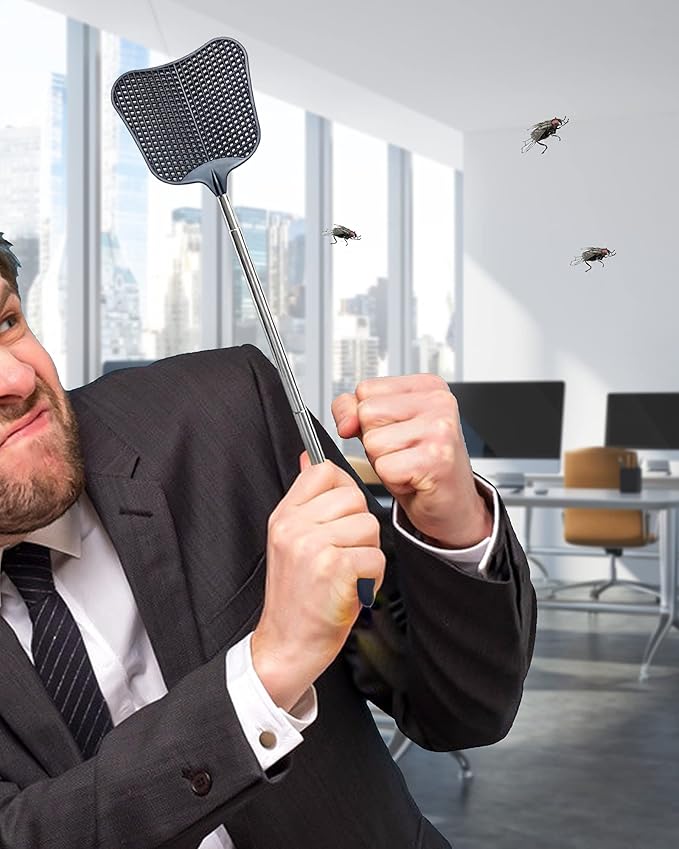 Fly Swatter Heavy Duty Set, with Durable Telescopic Stainless Steel Extendable Handles, for Home, Classroom and Office, 2Pcs, 2 Colors