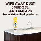 Pledge Granite & Stone Cleaner, Expert Care, Aerosol, Orange Scent, 9.7 oz.