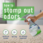 Febreze FABRIC Downy Calm & Febreze Heavy Duty Carpet Rainforest Breeze, 16.9oz, 2 pack