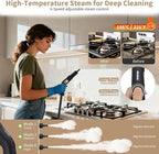 2500W Handheld Steam Cleaner, 15s Fast Heating Steam Cleaning, 1800ML Large Capacity Tank, Portable Steam Cleaner for Upholstery, Grout, Window, Grime, Grease, Bed Bugs, Car(BLACK)