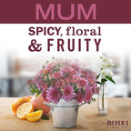 Mrs. MEYER'S CLEAN DAY Variety, 1 Multi-Surface Cleaner, 16 OZ, 1 Multi-Surface Cleaner, 16 OZ, 1 CT (Acorn Spice + Mum)