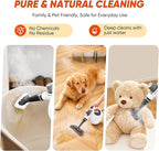 Steam Disinfection Cleaner, Handheld Pressurized Steamer with 9-Piece Accessories for Multi-Surface Cleaning, Natural Sanitization for Kitchen, Floor (1 x Steam Cleaner Kit)