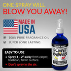 Scent Bomb Air Freshener Spray, Long-Lasting Odor Eliminator for Home & Car, Effective Deodorizer for Kitchen, Bathroom, Fresh Room Spray & Smell Neutralizer, Black Bomb Scent