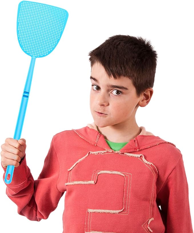 Boao 10 Pcs Fly Swatter Bulk Plastic Colorful Strong Flexible Manual Fly Swat Set Long Handle Durable Bug Swatter for Indoor and Outdoor