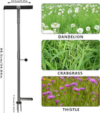 39"/42" Stand Up Weeder Hand Tool - Weed Puller Tool - Long Handle 3 Claws Manual Weeding Tool for Elderly & Gardeners - Stainless Steel Root Extractor Without Bending