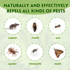 Rodent Repellent with Peppermint Oil – Mouse & Squirrel Deterrent for Car Engines, Garage, Attic – Rat/Mole/Mice Repellent – Indoor Outdoor Use – Alternative to Mouse Trap & Moth Balls.(80 Pack)