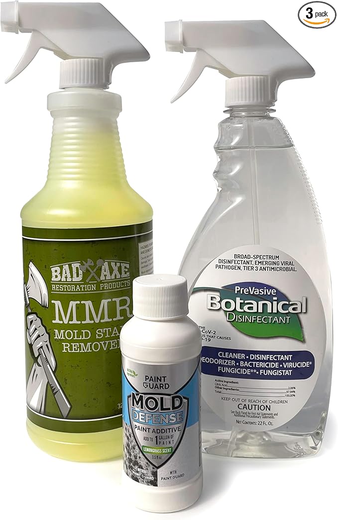 Home Mold Repair Kit