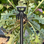 Gardening Hand Weeder Tools, Weeding Artifact Uprooting Weeding Tool, Durable Manganese Steel Hand Weeder Tool, Manual Multifunctional Weeders Gardening Tools for Yard and Garden (6 Teethes)
