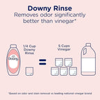 Downy Rinse Laundry Odor Remover, Spring Breeze Scent, 48 FL OZ, Fabric Softener and Laundry Odor Removal Rinse