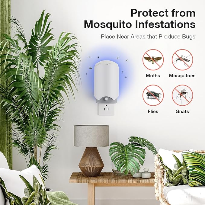 12 Refill Glue Cards for Indoor Flying Insect Trap – Sticky Pads for Capturing Fruit Flies, Gnats, Moths, and Houseflies